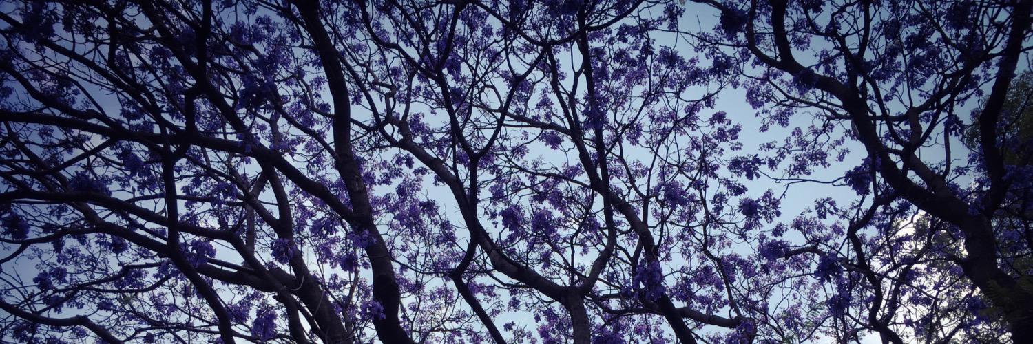 Hugo Arrevillaga S banner