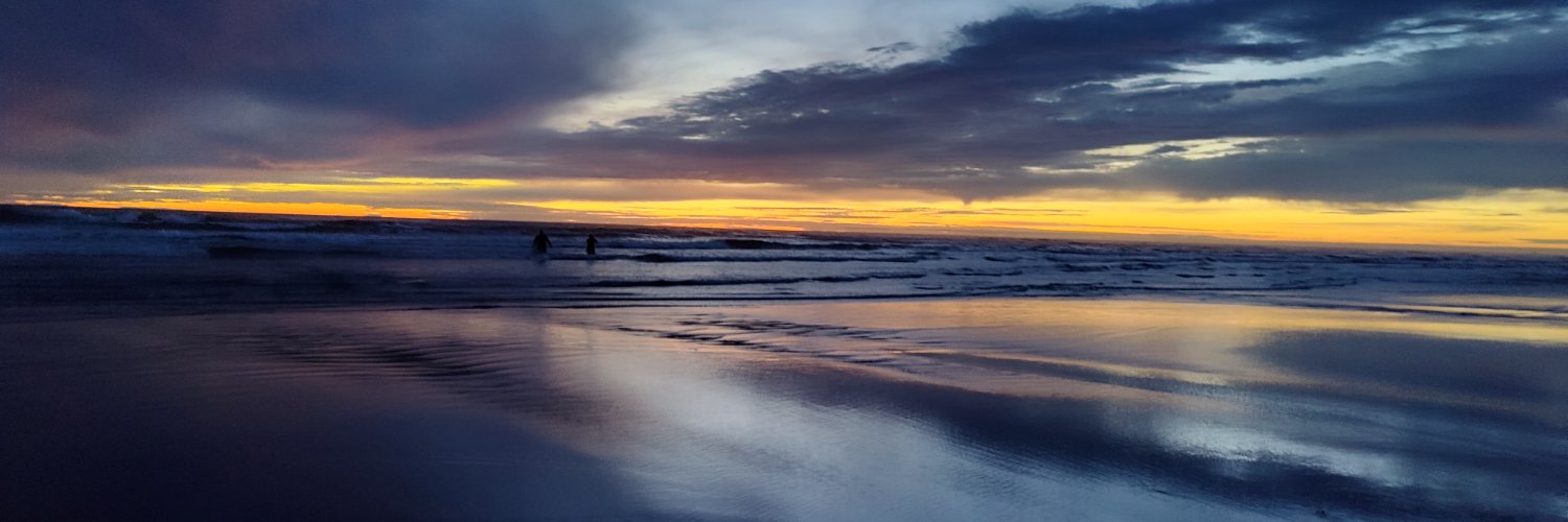 JuliaSeidman's profile banner image