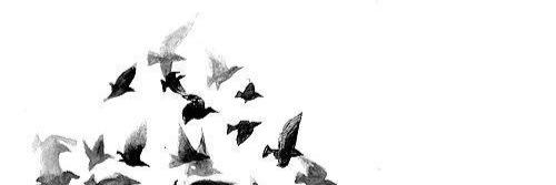 carolkraetsch's profile banner image
