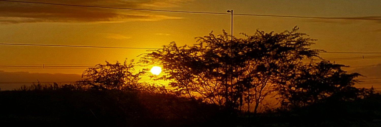 geneton's profile banner image