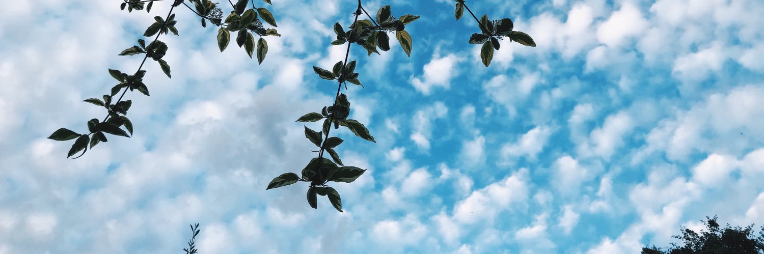 goo97's profile banner image