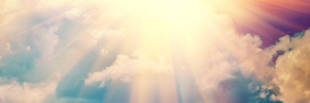 gene_row's profile banner image