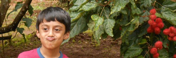 drmaya Profile Banner
