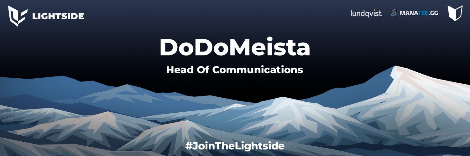 DoDoMeista's profile banner image