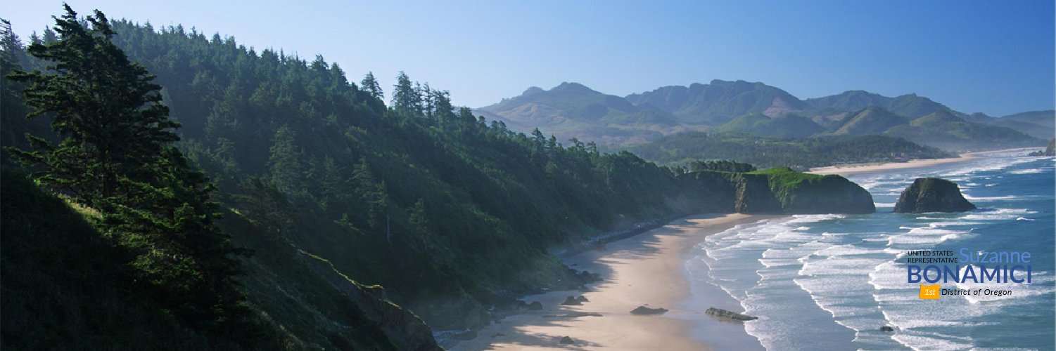 Suzanne Bonamici banner