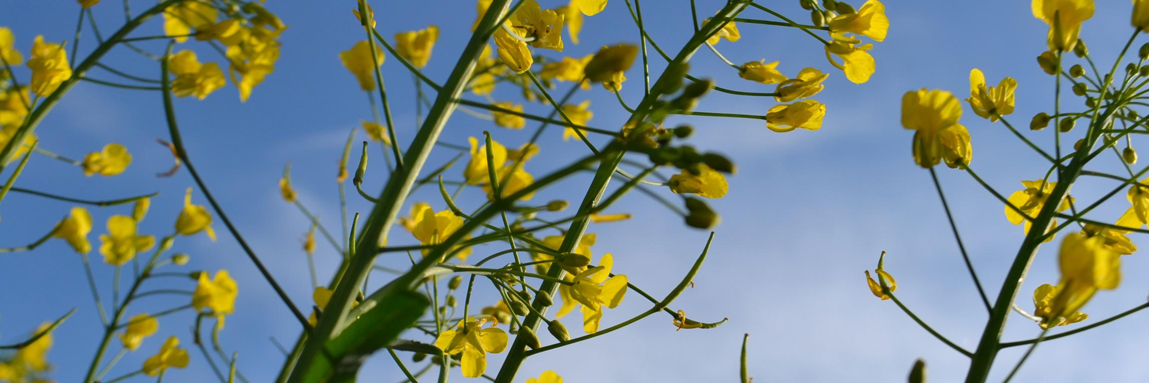 frkstroemseng's profile banner image