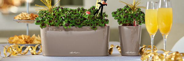 CatapultNature's profile banner image
