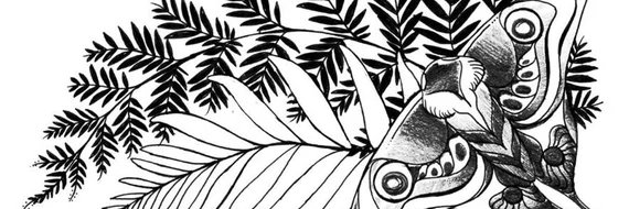 felippidios 🏳️‍🌈🌿 banner