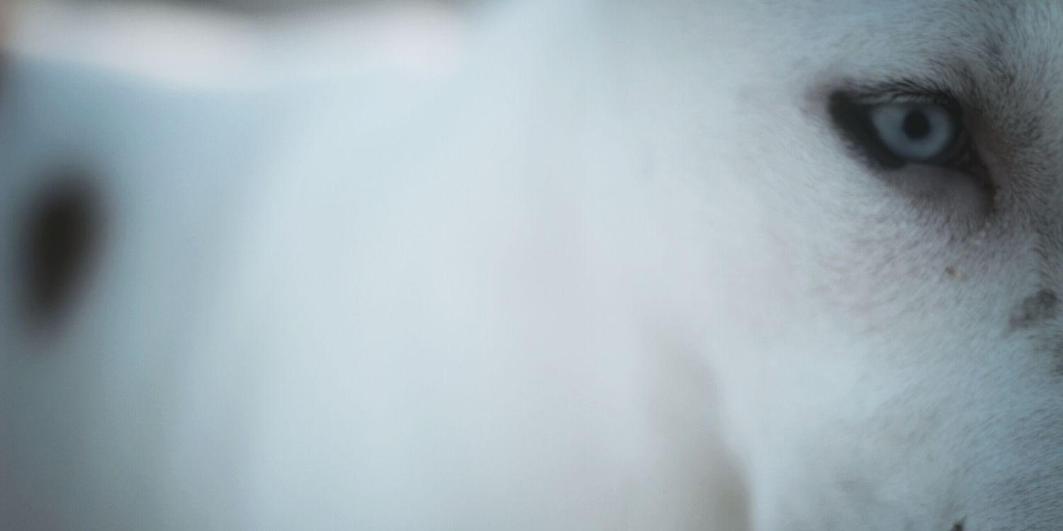cceyd's profile banner image