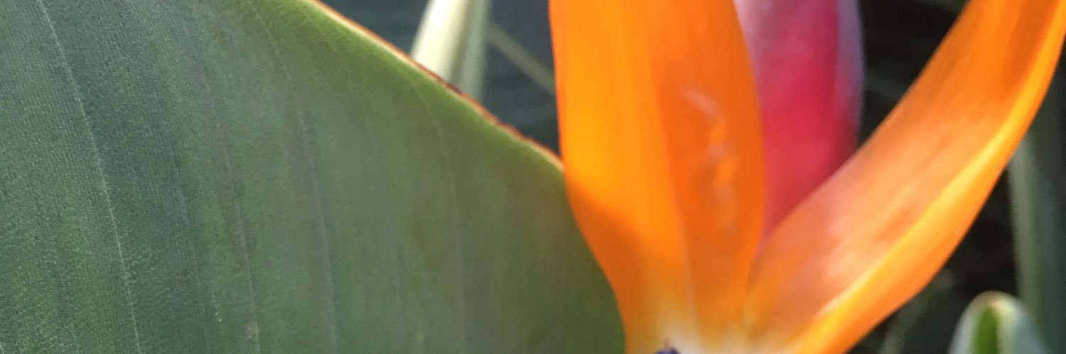 Julia_2605's profile banner image