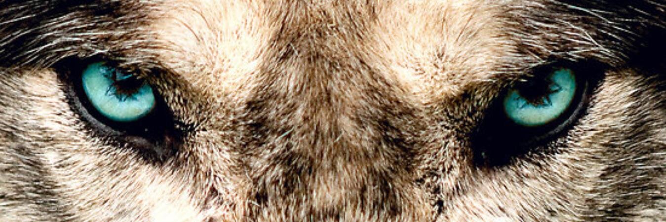Hodei_P's profile banner image