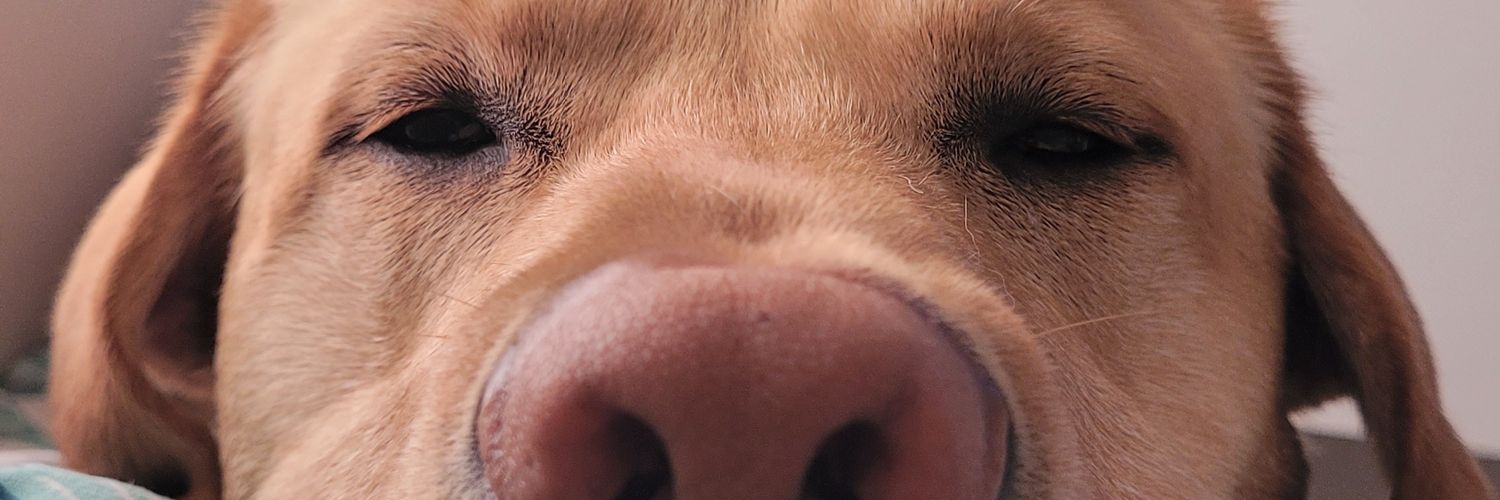 Geormy's profile banner image