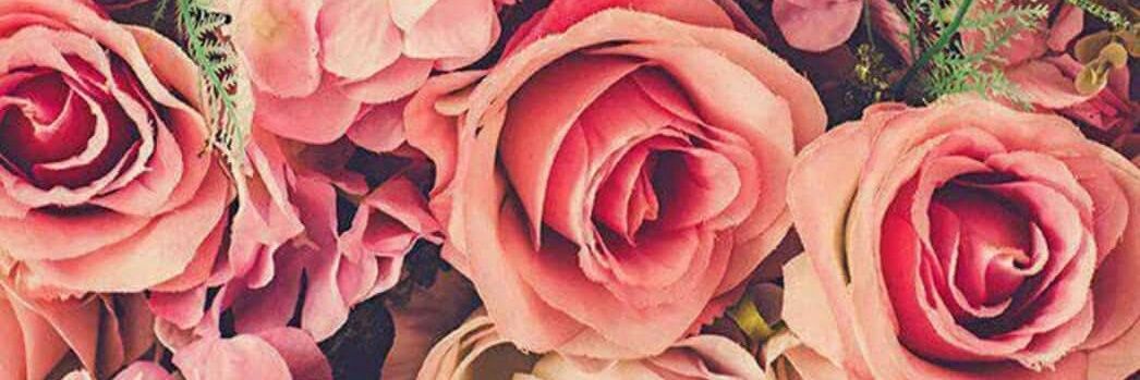 meerlujan's profile banner image
