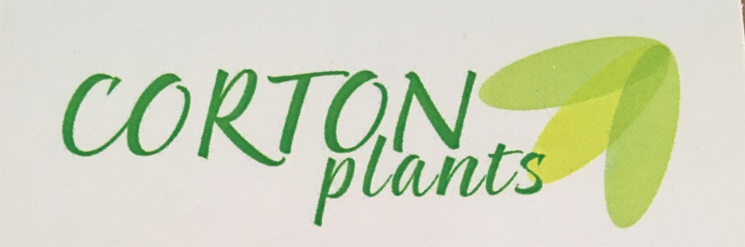 cortonplants's profile banner image