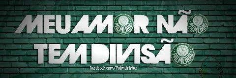 ⓟ Vinícius Ribeiro banner