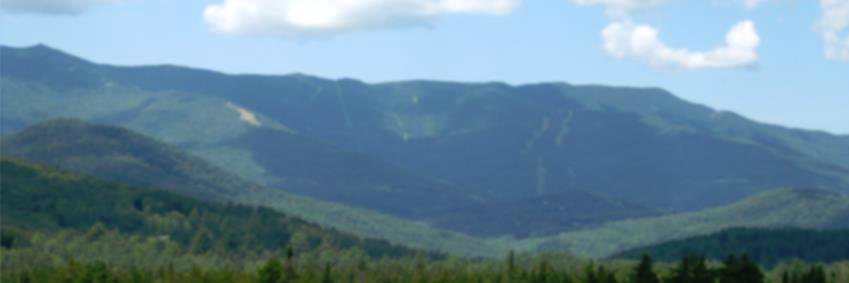 RandyBrockforVT's profile banner image