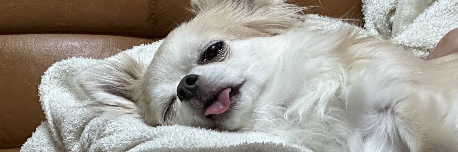 oidemaseSS's profile banner image