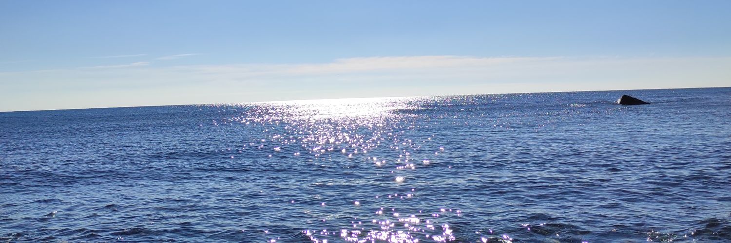 MarinaBadia2's profile banner image