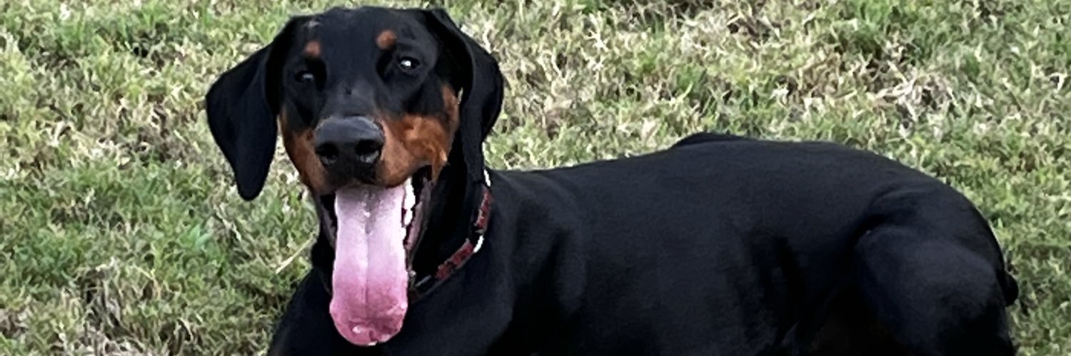 swift_frank's profile banner image