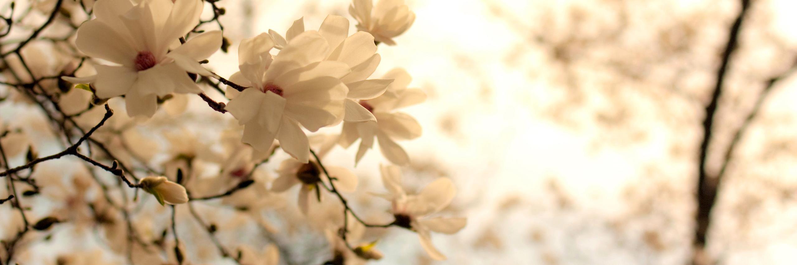 MathildePgx's profile banner image