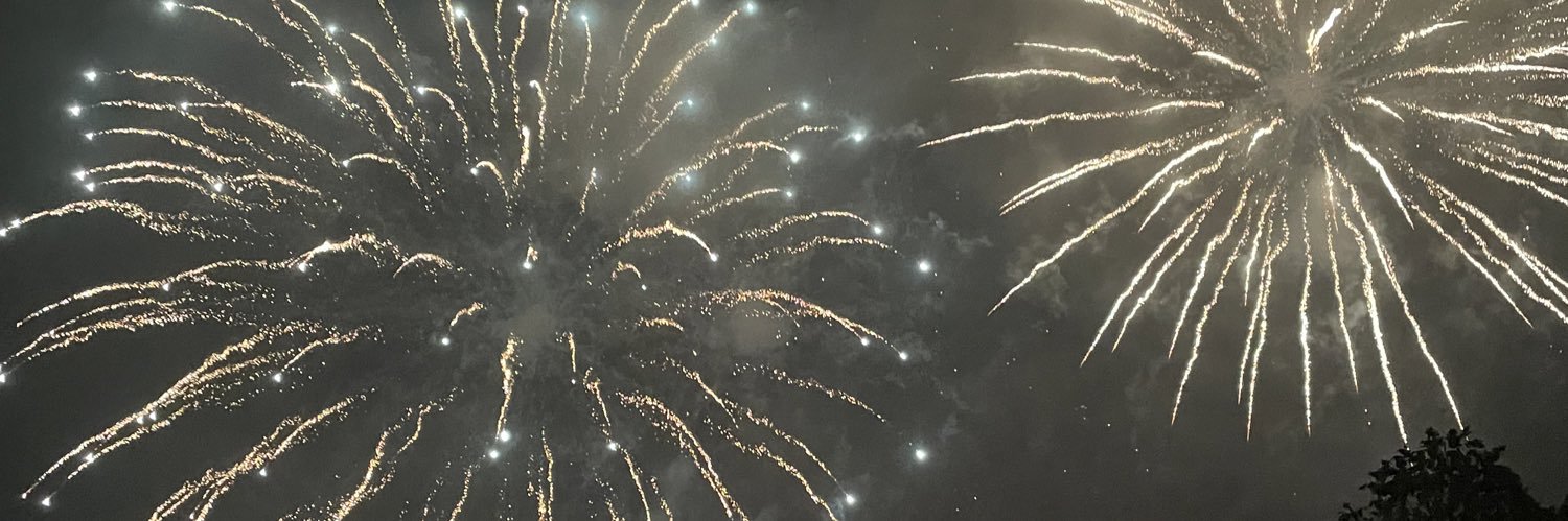 Justine Di Fede banner