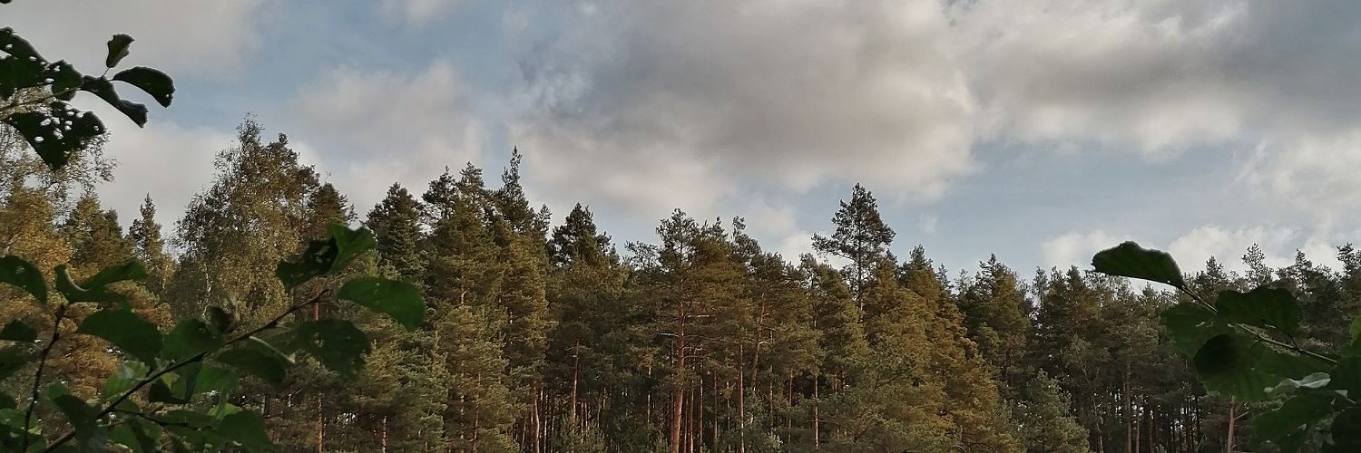 paula_shaa's profile banner image