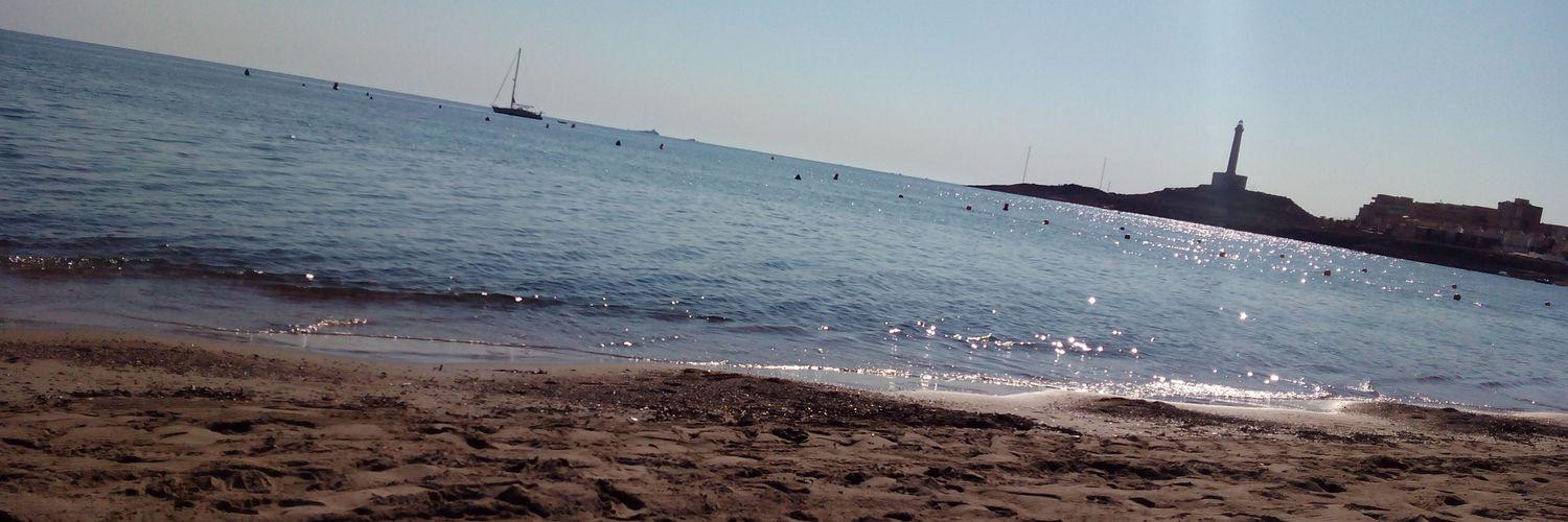 MarinaNavSaez's profile banner image
