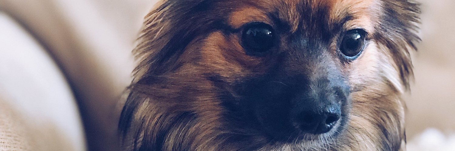 NillaRosander's profile banner image