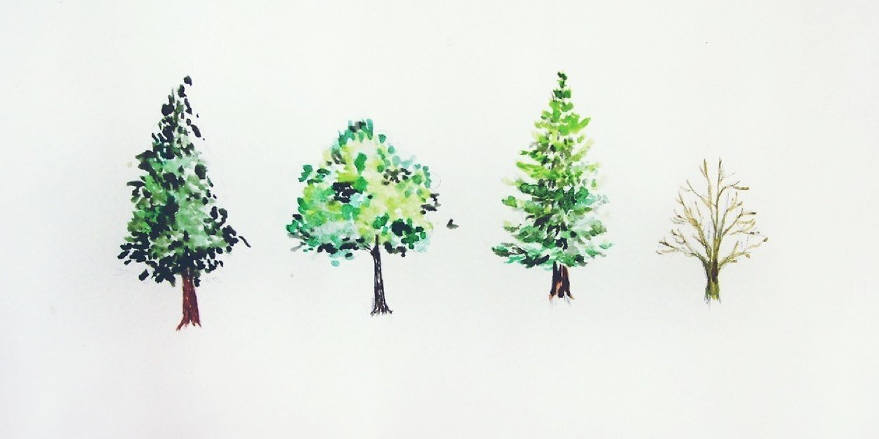 sarahbrown_15's profile banner image