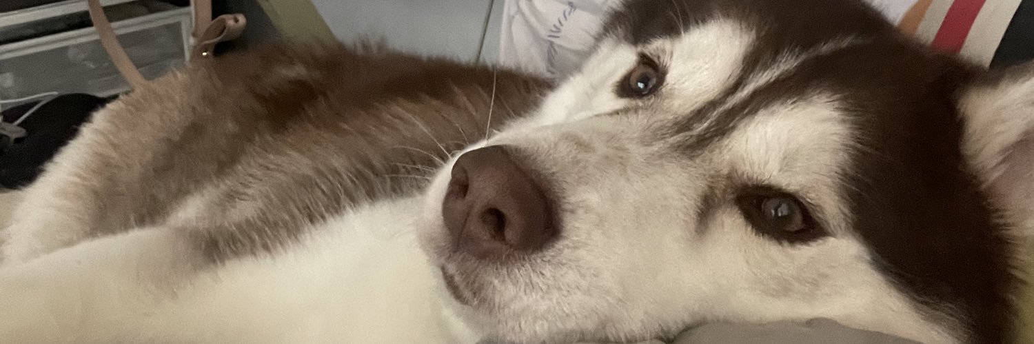 eillliej's profile banner image