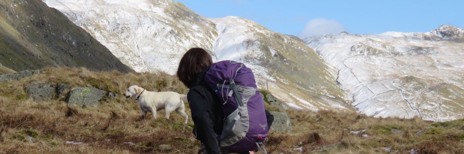 CorlessM's profile banner image