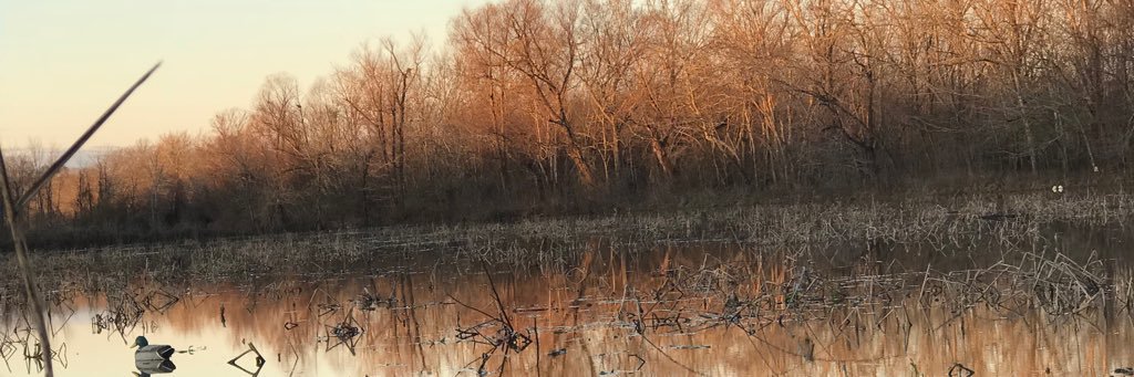 dunk1791's profile banner image