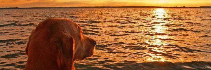 HugoOzorio's profile banner image