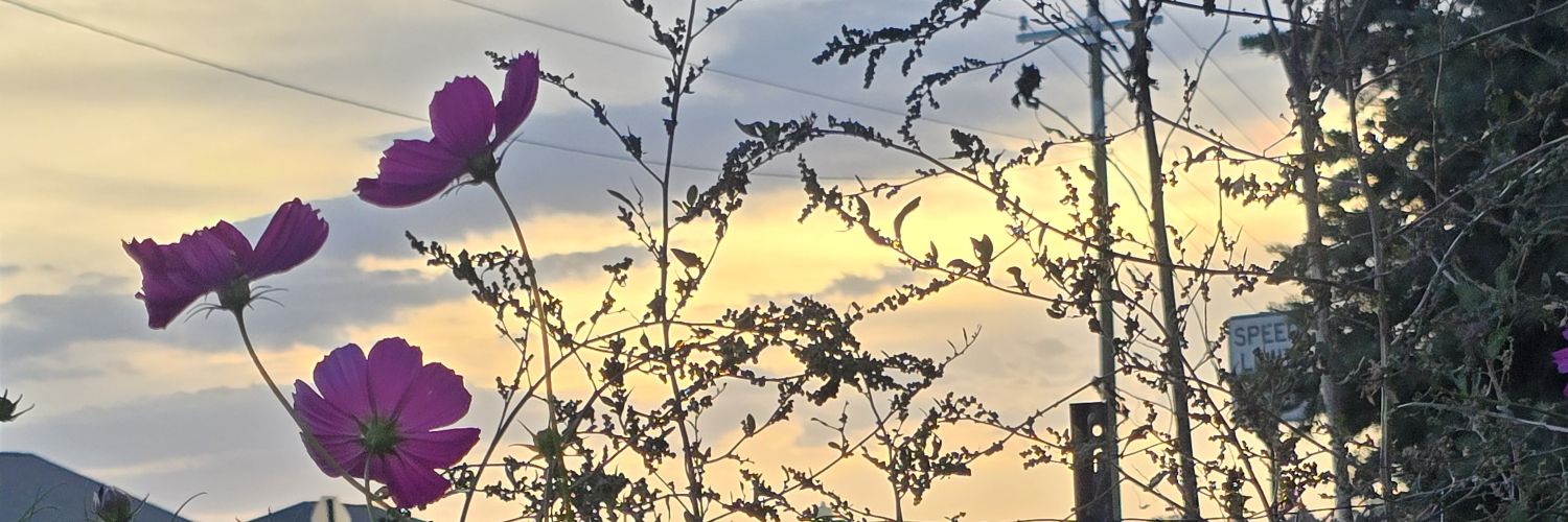 doriekay75's profile banner image