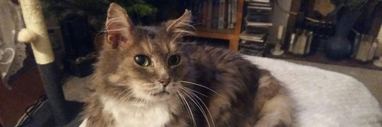 Annawatton's profile banner image