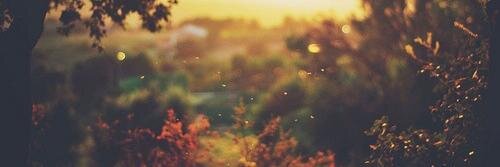 mon_ce2's profile banner image
