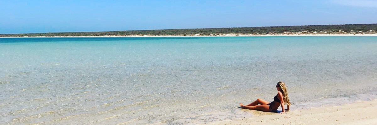 jess_branco's profile banner image
