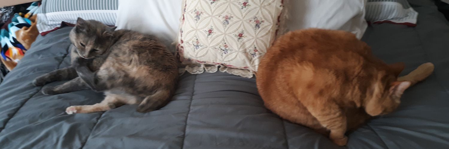 JaniceSperry's profile banner image