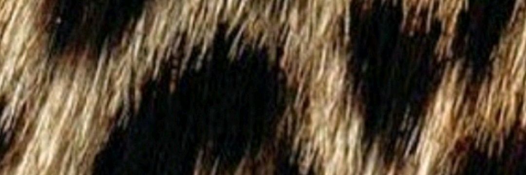 Naoprint's profile banner image