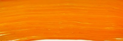 Michelle Soto banner