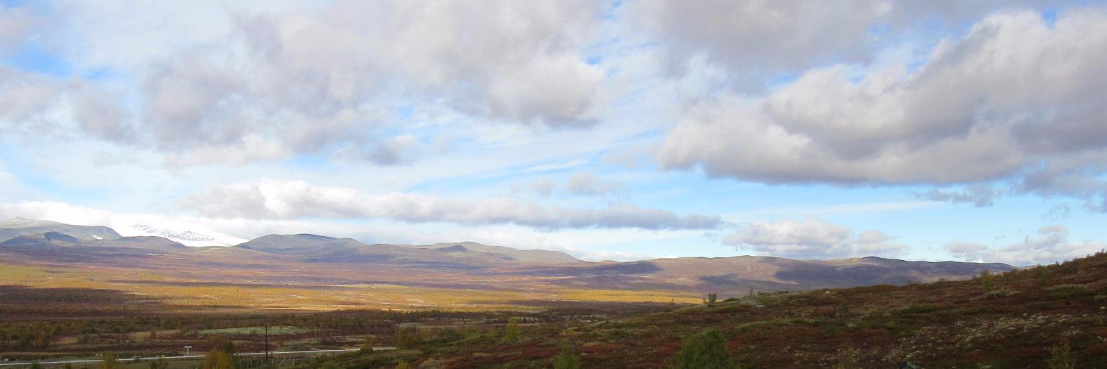 svagene's profile banner image