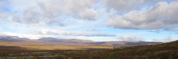 svagene Profile Banner