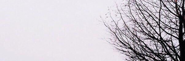 Inesko01's profile banner image