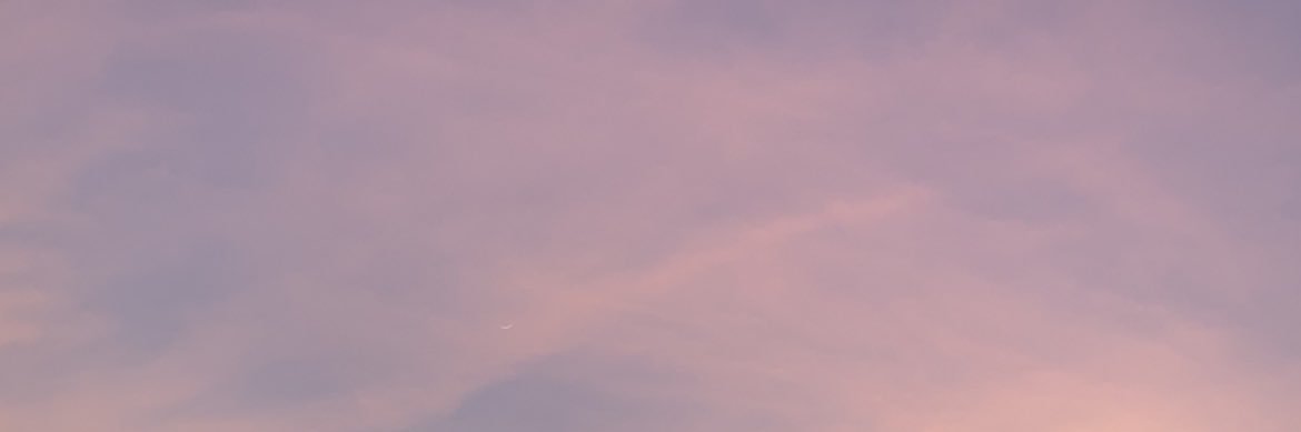 the_sorted_guy's profile banner image