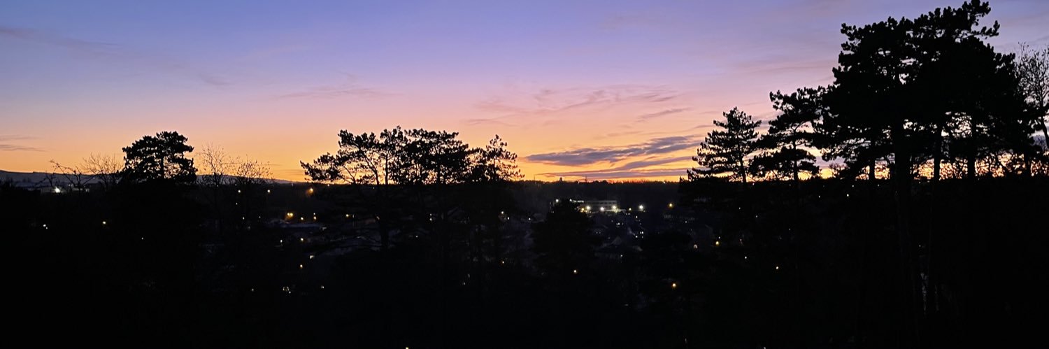 michelle o kelly banner