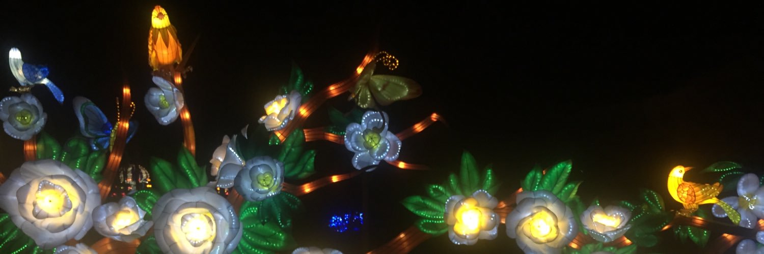 Dodsworthless's profile banner image