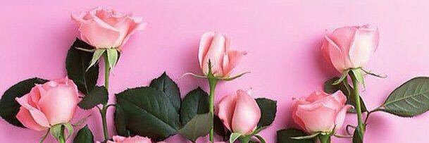 akin_miss's profile banner image