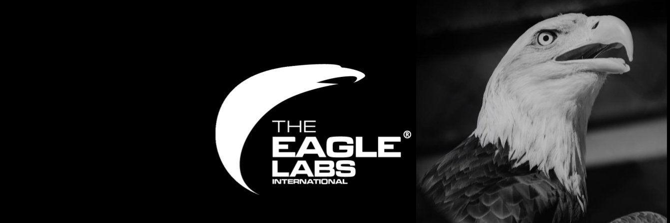 theeaglelabs's profile banner image