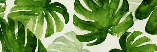letibarnyard's profile banner image