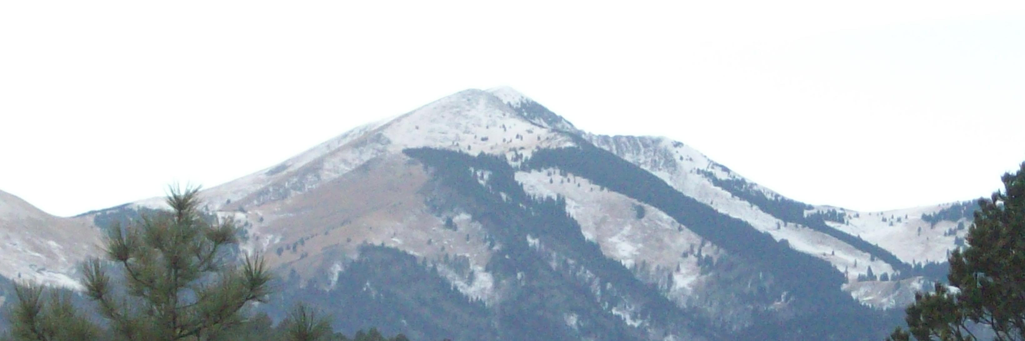 TLarryHart's profile banner image